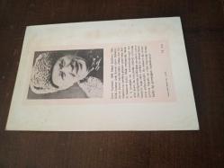 Vatan İçin Dövüştüler