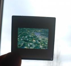 8 ADET DİA FOTOĞRAF LOTU 1990'LAR ÇEKİM KONDİSYON YÜKSEK KOLEKSİYONLUK NADİR (ş)