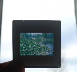 8 ADET DİA FOTOĞRAF LOTU 1990'LAR ÇEKİM KONDİSYON YÜKSEK KOLEKSİYONLUK NADİR (ş)