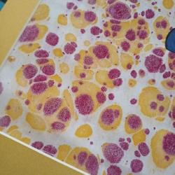 Ebru Sanatı Orjinal 35x50