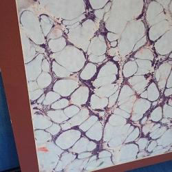 Ebru Sanatı Orjinal , 35x50