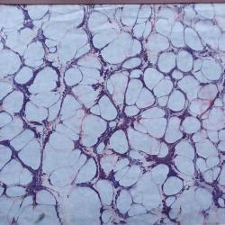 Ebru Sanatı Orjinal , 35x50