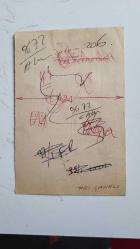 TÜRK SANAT MÜZİĞİ SANATÇISI ve KORO ŞEFİ İNCİ ÇAYIRLI'NIN ORİJİNAL FOTOĞRAFI - 18 x 12 cm EBADINDA - İNCİ ÇAYIRLI REPERTUAR SIRASINDA MİKROFONA ŞARKI OKURKEN ÇEKİLMİŞ BİR KARE