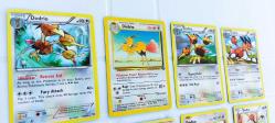 14 Adet Orijinal Pokemon Dodrio & Doduo Kart Lotu