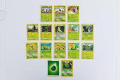 15 Adet Orijinal Pokemon Butterfree ve Evrimleri Kart Lotu