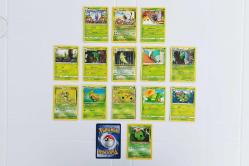 15 Adet Orijinal Pokemon Butterfree ve Evrimleri Kart Lotu