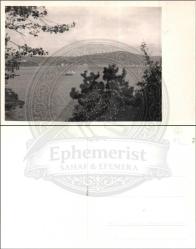 Sahil şeridinde ağaçlar arasından yelkenli ve deniz manzarası. (Orijinal Fotoğraf, S/B, 1950'ler, 9x14 cm.)