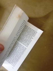 Yüreğinin Götürdüğü Yere Git