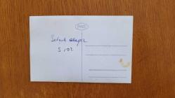 SELÇUK ALAGÖZ & RANA ALAGÖZ'ÜN ORİJİNAL FOTOĞRAFI - 14 x 9 cm EBADINDA - SELÇUK ALAGÖZ, EŞİ BİRSEN ALAGÖZ, ARANA ALAGÖZ ve EŞİ TAYLAN KÖK, ORMAN PARKTA PİKNİK YAPARLARKEN ÇEKİLMİŞ BİR HATIRA FOTOĞRAFI