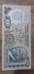 100 Türk lirası