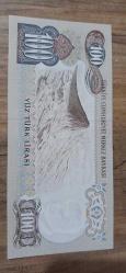 100 Türk lirası