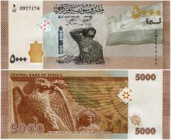 P#W118 Suriye 5000 Pound 2023 ÇİL