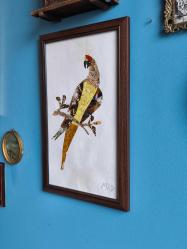 Kelebeklerden Papağan El Emeği Tablo