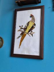 Kelebeklerden Papağan El Emeği Tablo