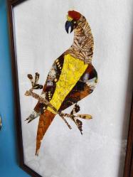 Kelebeklerden Papağan El Emeği Tablo