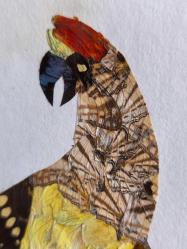 Kelebeklerden Papağan El Emeği Tablo