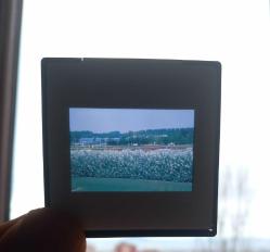 8 ADET 1990'LAR DİA FOTOĞRAF LOTU KONDİSYON YÜKSEK KOLEKSİYONLUK NADİR (ş)