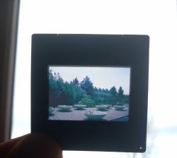 8 ADET 1990'LAR DİA FOTOĞRAF LOTU KONDİSYON YÜKSEK KOLEKSİYONLUK NADİR (ş)