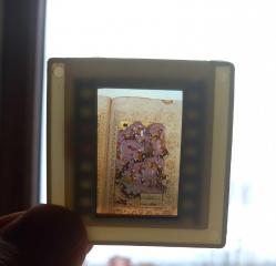 5 ADET OSMANLI MİNYATÜR DİA FOTOĞRAF 1990'LAR ÇEKİM KONDİSYON YÜKSEK KOLEKSİYONLUK NADİR  (sa)