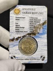 Darphane Hayvanlar Serisi 2015 Anadolu Yaban Koyunu
