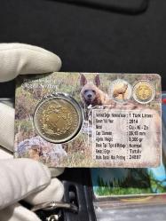 Darphane Hayvanlar Serisi 2014 Yılı Çizgili Sırtlan