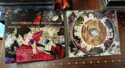 OF MONTREAL -  thecontrollersphere