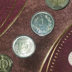 TÜRKİYE  2021  TEDAVÜL MADENİ PARA SETİ   1 TL JETON  GÜMÜŞ 6 GRAM