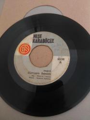 45 lik neşe Karaböcek dönem plaklar