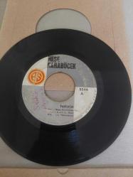 45 lik neşe Karaböcek dönem plaklar