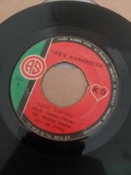 45 lik neşe Karaböcek dönem plaklar