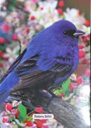 Süresiz Planlama Defteri - Kuş Bakışı