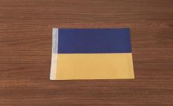 UKRAYNA BEZ BAYRAK - ROZET - MADALYA C4436