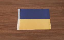 UKRAYNA BEZ BAYRAK - ROZET - MADALYA C4436