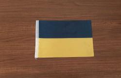 UKRAYNA BEZ BAYRAK - ROZET - MADALYA C4438