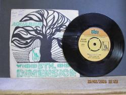 5TH DIMENSION AQUARIUS / LET THE SUNSHINE IN / THOSE WERE THE DAYS 45 DEVİR PLAK
