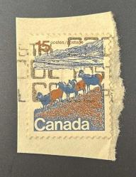 Kanada Pulu - Canada Stamp - Mektup Zarfından Kesilmiş /Postadan Geçmiş Pul Filateli - Damgalı - Dağ koyunları temalı pul , 15 PARA - YABANCI PULLAR -NOSTALJİK DOĞUM GÜNÜ HEDİYESİ