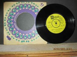 GEORGE BAKER SELECTION PRETTY LITTLE DREAMER / LITTLE GREEN BAG 45 DEVİR PLAK