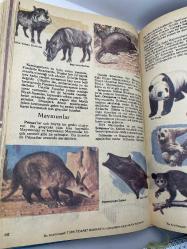 BÜYÜK DOĞA TARİHİ ANSİKLOPEDİSİ - İLKÇAĞLARDAN  GÜNÜMÜZE KADAR