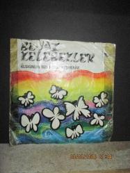 BEYAZ KELEBEKLER KÜSKÜNÜM BEN HAYATA / ESMERİM 45 DEVİR PLAK KABI