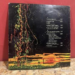 Barış Manço - 2023