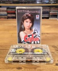 CEYLAN 93 ŞANTAJ MONTAJ KASET AKBAŞ ALMANYA BASKI