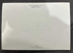 Yenişehir Palas Kız kulesi ve salacak eski tebrik kartı