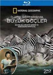 BLURAY- National Geographic / Ölümle Yaşam Arasında Büyük Göçler (2 DİSKLİ)