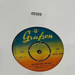 BEHİYE AKSOY - BÜLBÜLÜN ÇİLESİ 05503