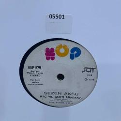 SEZEN AKSU - KAÇ YIL GEÇTİ ARADAN 05501