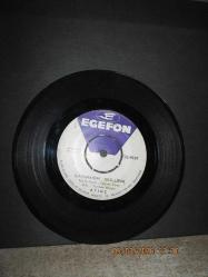 ATINÇ SARMAŞIK GÜLLERİ / KIRMIZI GÜL 45 DEVİR PLAK