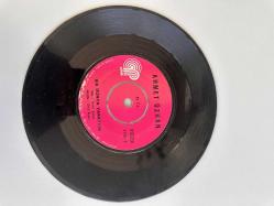 AHMET ÖZHAN - AT KADEHİ ELİNDEN, BİR DÜNYA YARATTIM 45 LİK PLAK