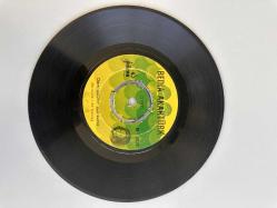 BEDİA AKARTÜRK - DAM ÜSTÜNE ÇUL SERER, KOZANDAĞI ÇATAL MATAL 45 LİK PLAK