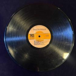 NİLGÜN PEKER BİRLİKTE BİR AKŞAM