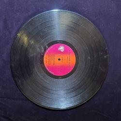 MÜZEYYEN SENAR-LP DÖNEM ÜRÜNÜ